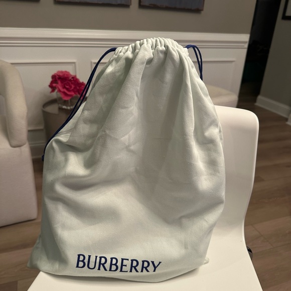 Burberry Beige and Blue Patterned Crossbody Bag - Picture 5 of 12